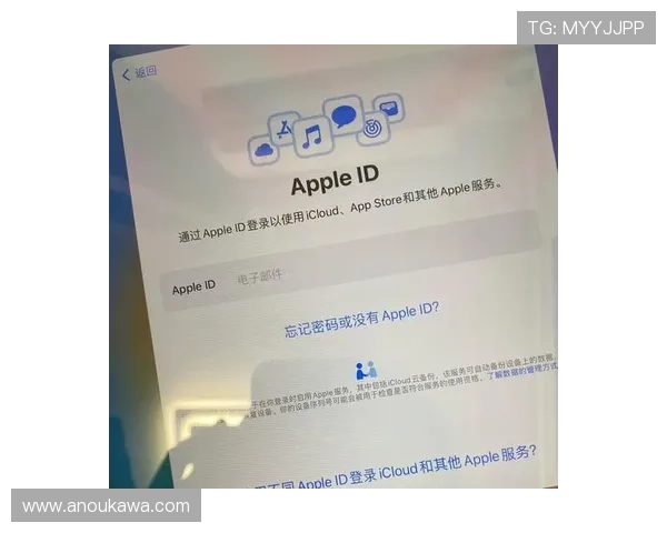 凯发真人版会员注册成功后如何快速激活账号详细步骤