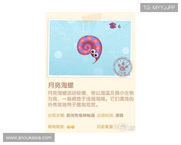 押庄龙虎如何提高胜率实用技巧与策略推荐