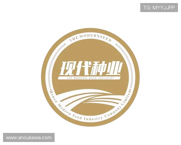 K8凯发一触即发引企如何实现企业数字化转型与快速增长 K8凯发一触即发引企如何实现企业数字化转型与快速增长